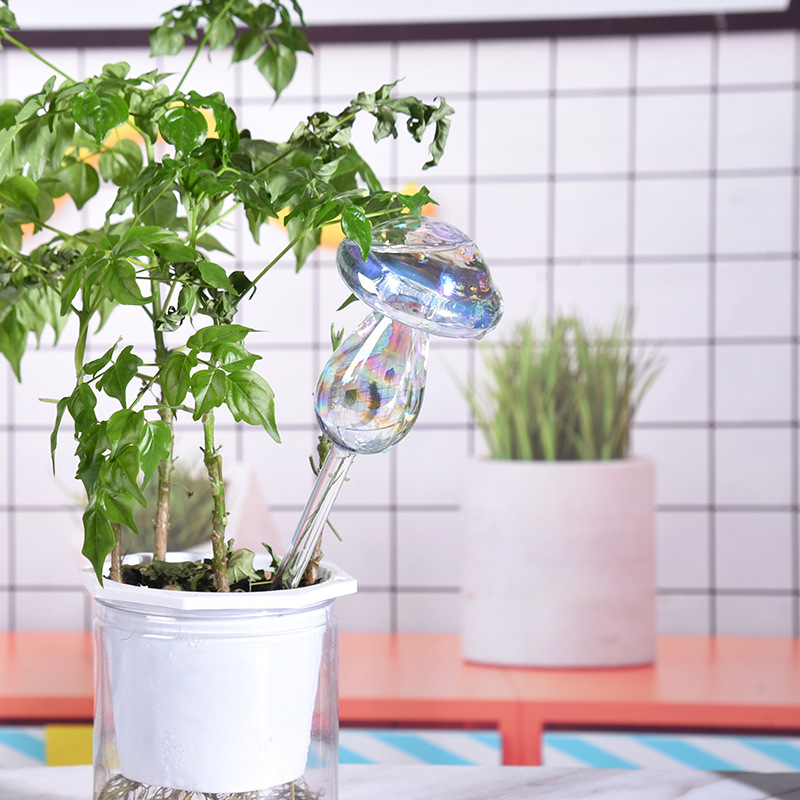 1/2 Buah Bohlam Penyiraman Tan - Smart Garden Technology ulasan dan harga