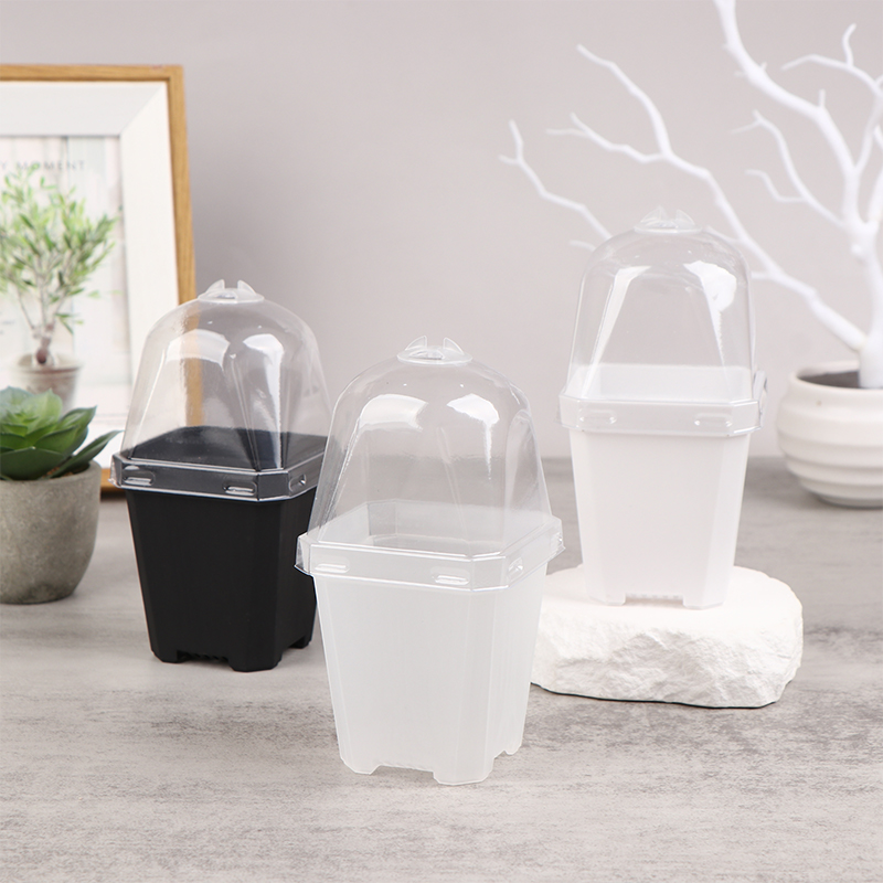 5 buah Pot bunga kecil persegi - Smart Garden Domes ulasan dan harga