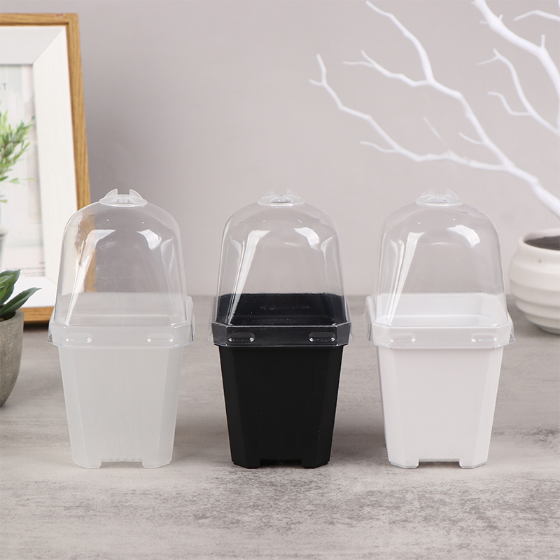 5 buah Pot bunga kecil persegi - Smart Garden Domes ulasan dan harga