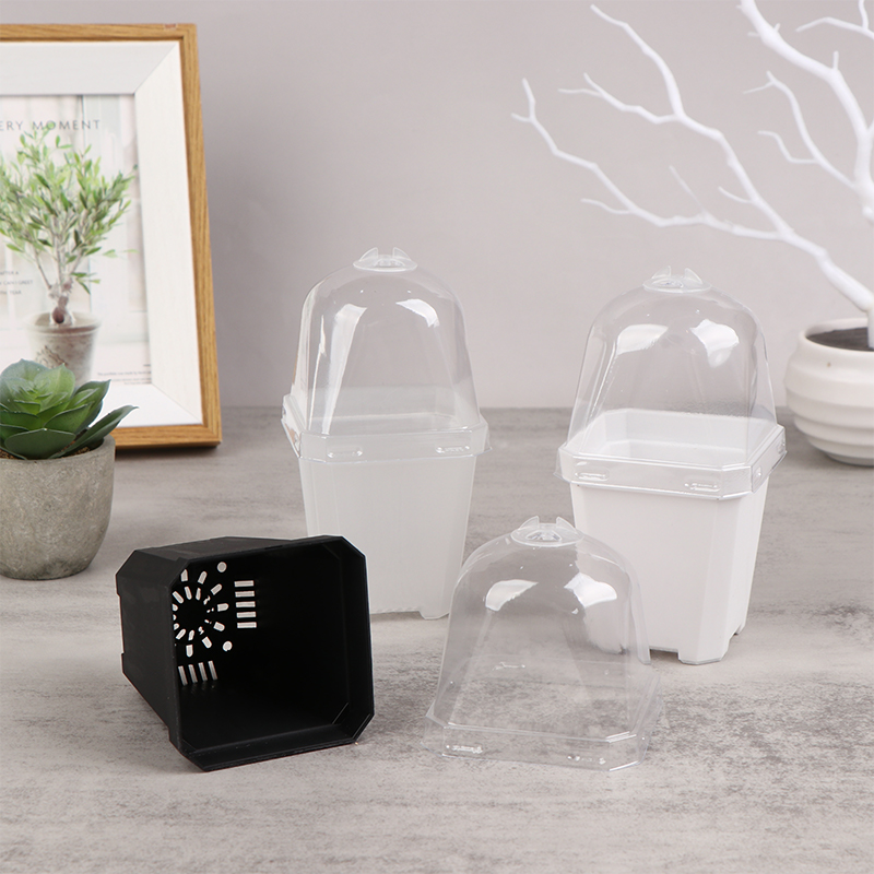 5 buah Pot bunga kecil persegi - Smart Garden Domes ulasan dan harga