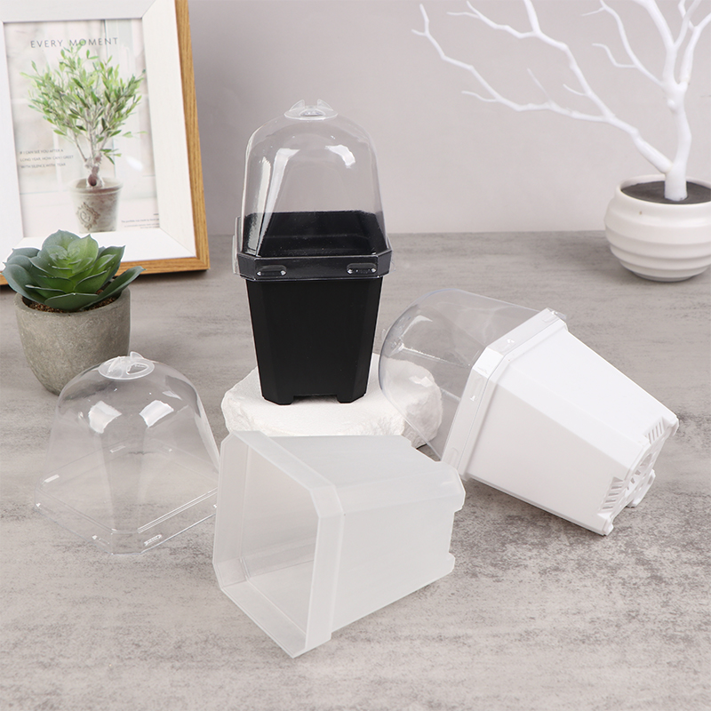 5 buah Pot bunga kecil persegi - Smart Garden Domes ulasan dan harga
