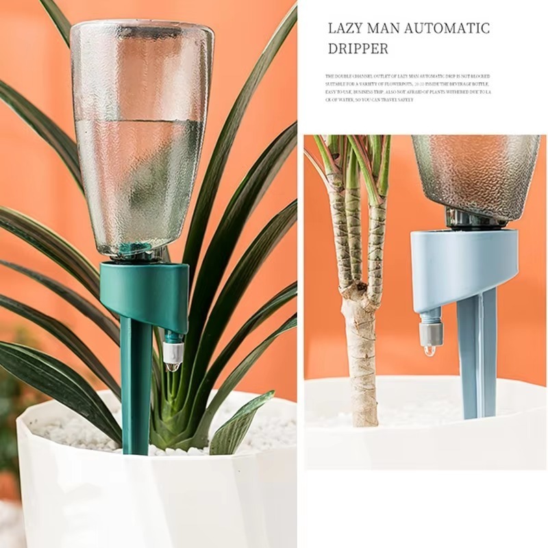 Paku tanaman bisa disesuaikan, - Smart Garden Technology ulasan dan harga
