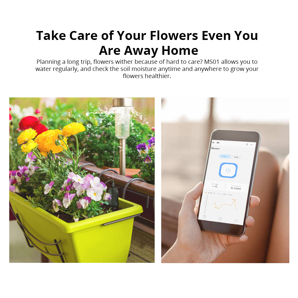 SONOFF MS01 Sensor Kelembaban  - Smart Garden Test ulasan dan harga